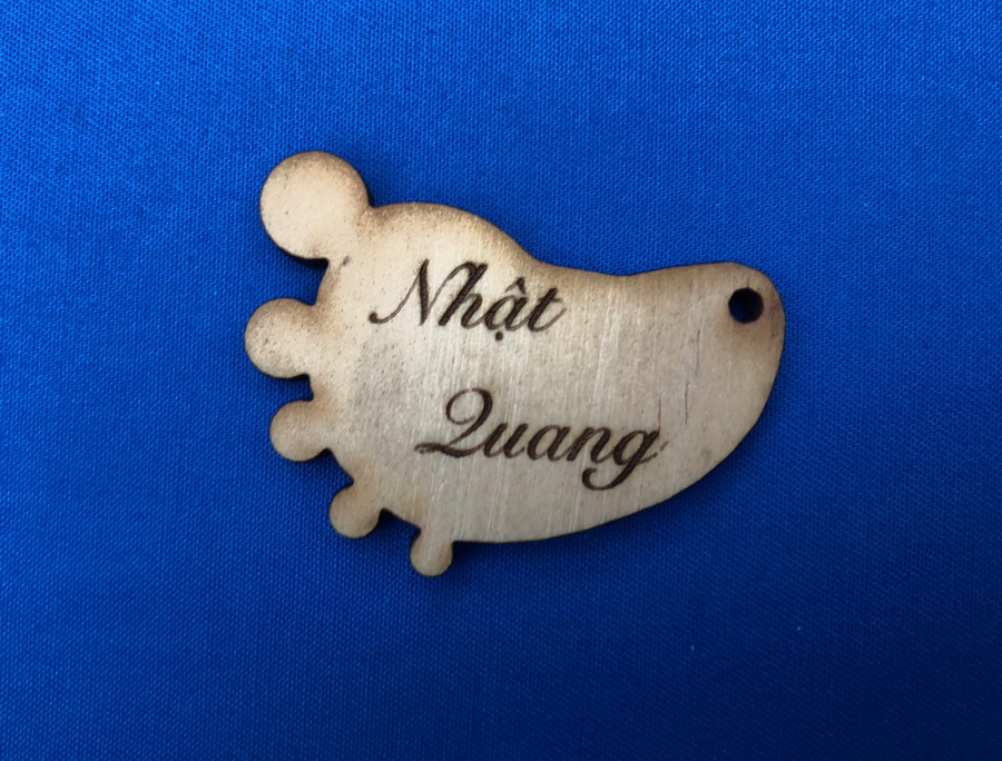 ThĂ´ng tin vá» sáº£n pháº©m kháº¯c laser gĂ¢y quá»¹ tá»« thiá»‡n